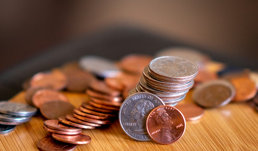 Lembaga dan Mekanisme Pasar Modal