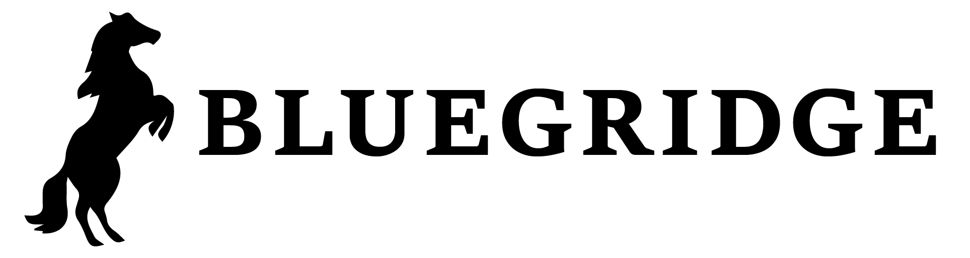 BLUEGRIDGE